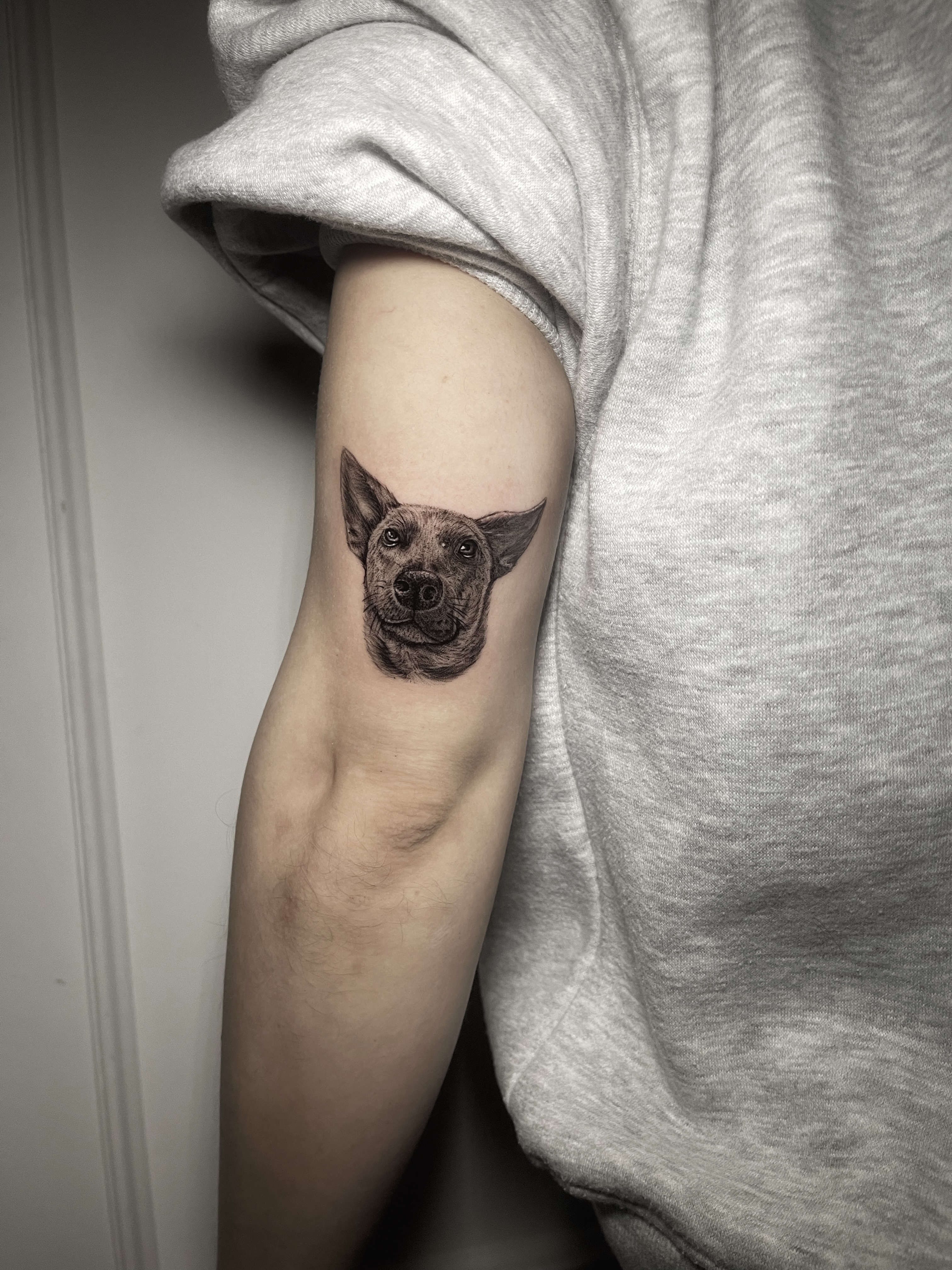 Retrato realista de perro en brazo – Captain Tattoo Cartagena