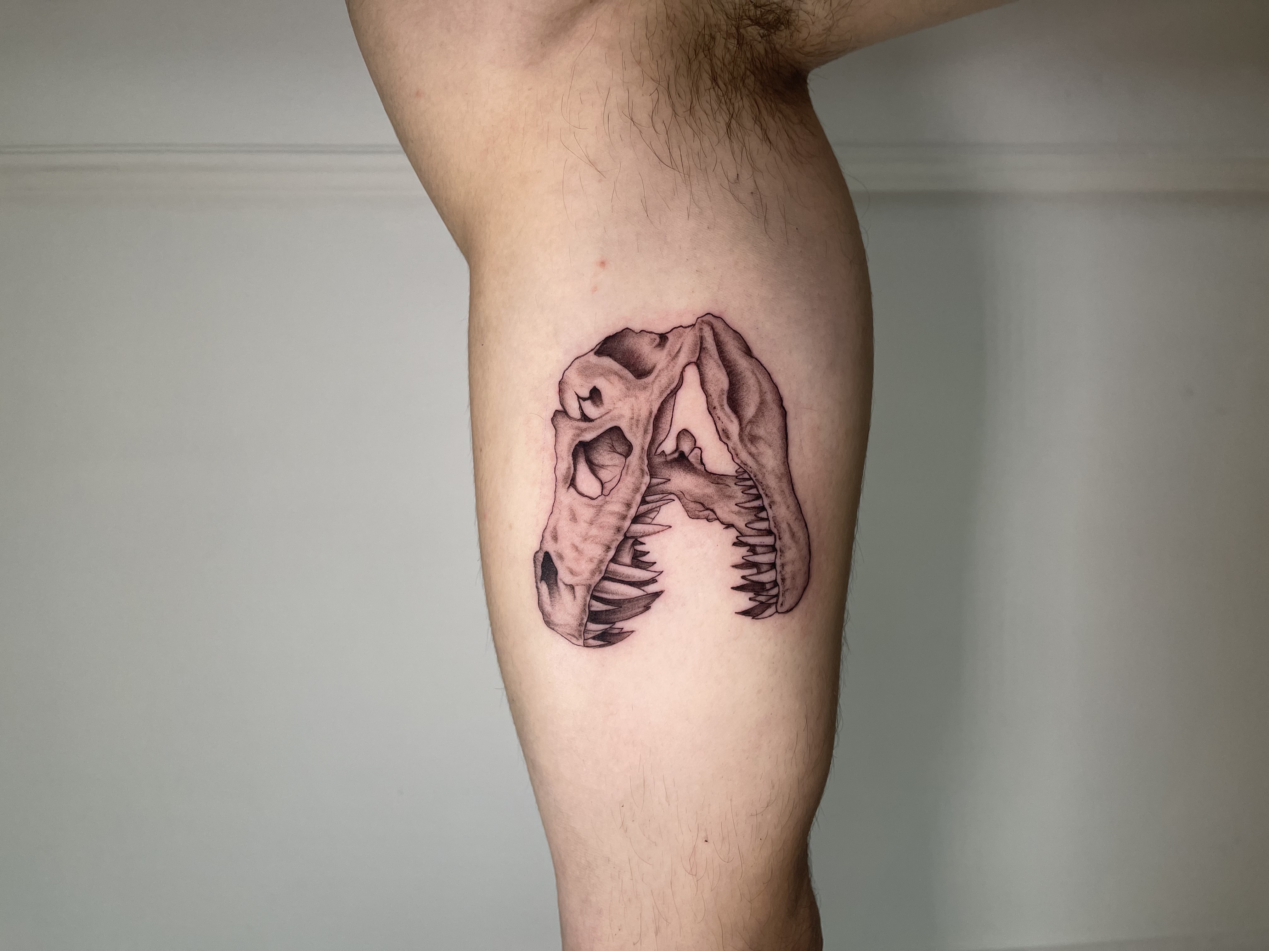 Tatuaje cráneo de dinosaurio blackwork – Captain Tattoo Cartagena